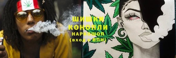 винт Пересвет