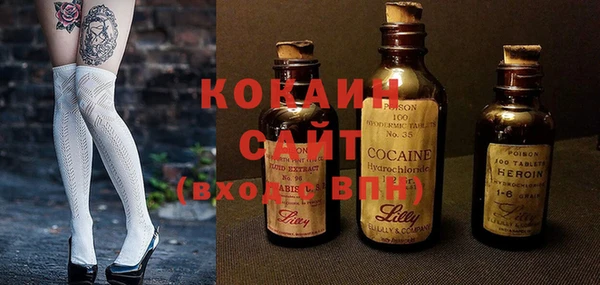 винт Пересвет