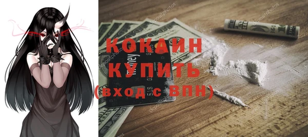 винт Пересвет