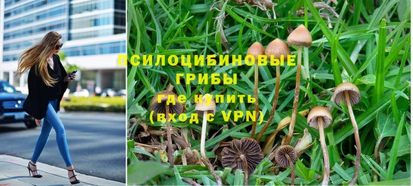 мяу мяу кристалл Осинники