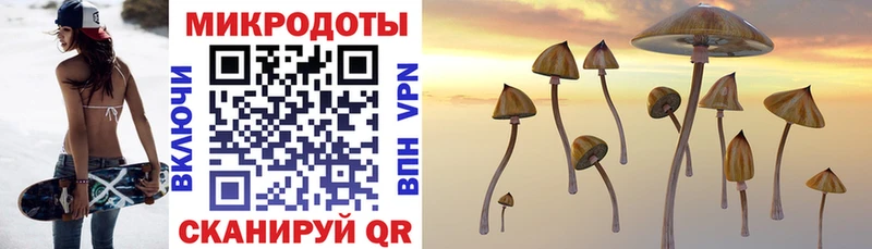 закладки  Королёв  Псилоцибиновые грибы Magic Shrooms 